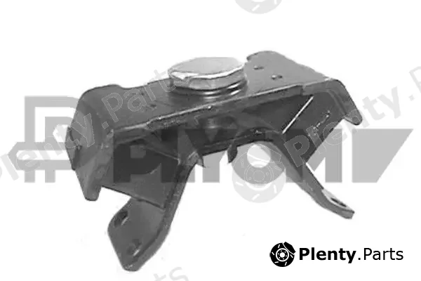 Plyom P761921 — Mounting, engine