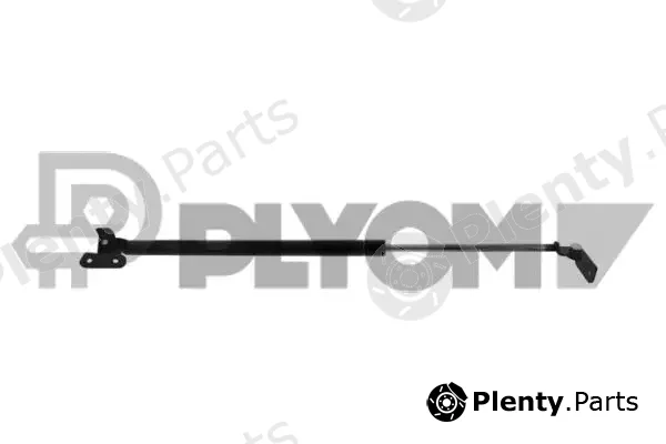 Plyom P773249 — Gas Spring, boot/cargo area