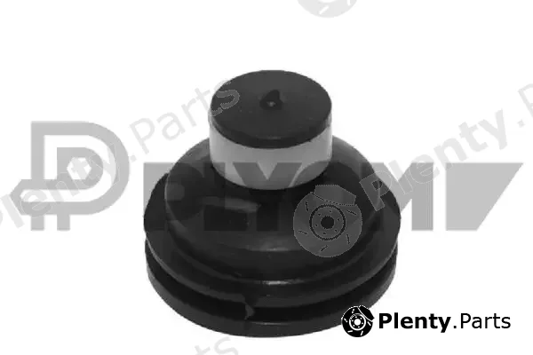 Plyom P021349 — Mounting, engine