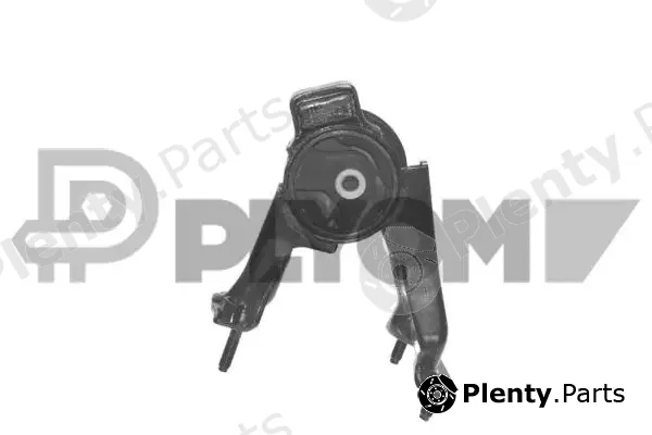 Plyom P772005 — Mounting, engine