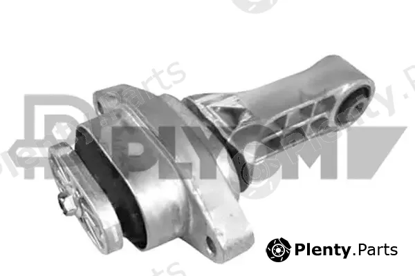 Plyom P760236 — Mounting, engine