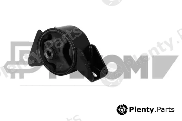 Plyom P760843 — Mounting, engine