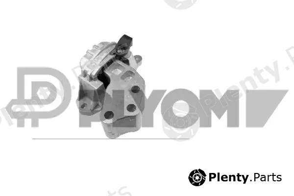 Plyom P773572 — Mounting, engine