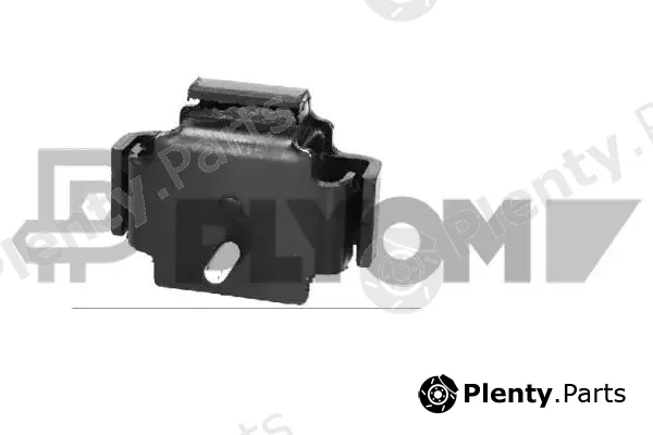 Plyom P760169 — Mounting, engine