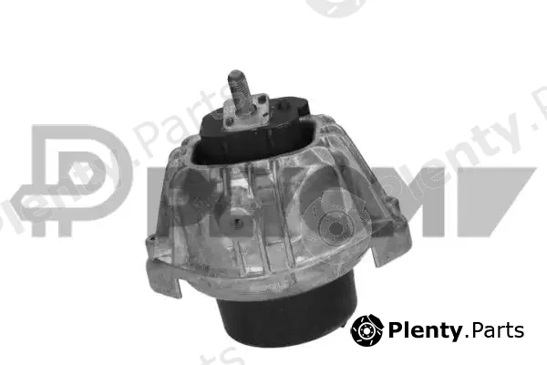 Plyom P756156 — Mounting, engine