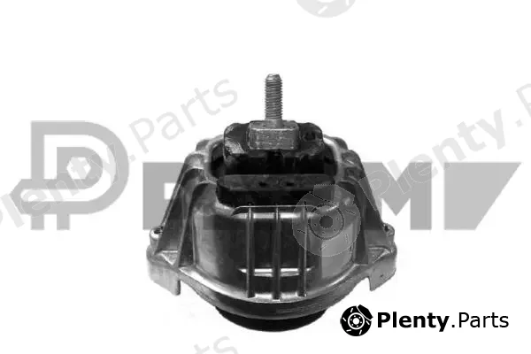 Plyom P201596 — Mounting, engine