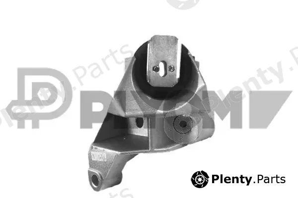Plyom P021110 — Mounting, engine