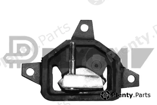 Plyom P480145 — Mounting, engine