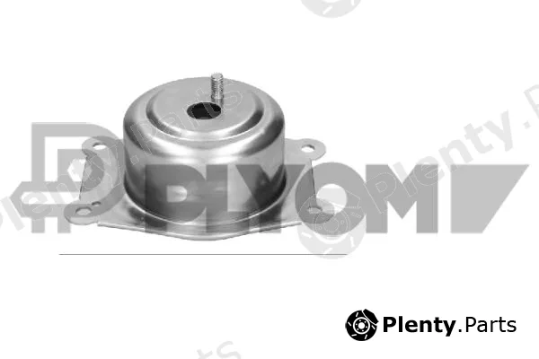 Plyom P756441 — Mounting, engine