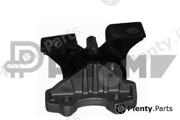 Plyom P481061 — Mounting, engine