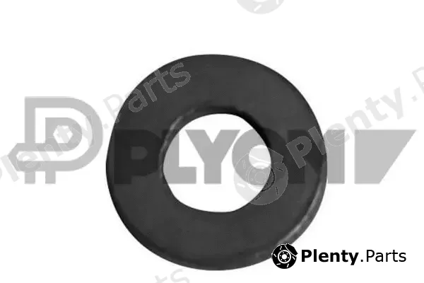 Plyom P750027 — Seal Ring, injector