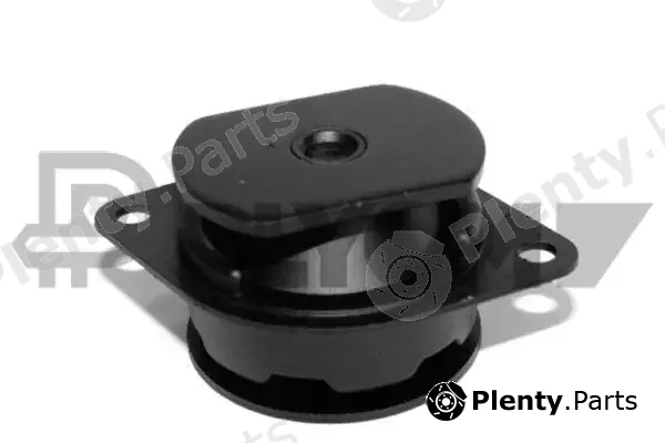 Plyom P756125 — Mounting, engine