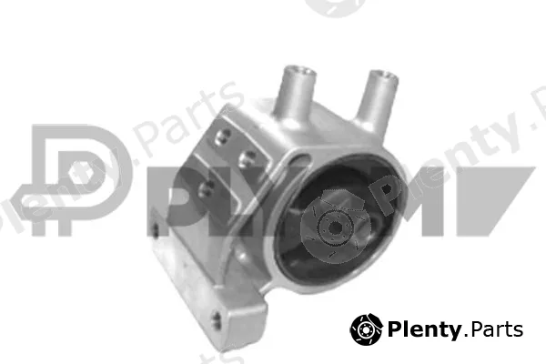 Plyom P760130 — Mounting, engine