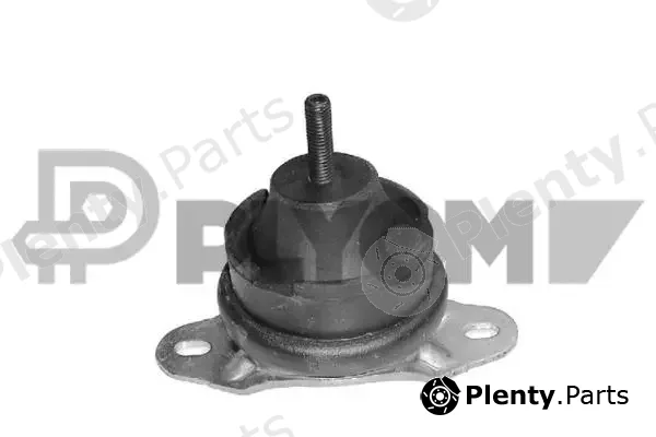 Plyom P031496 — Mounting, engine