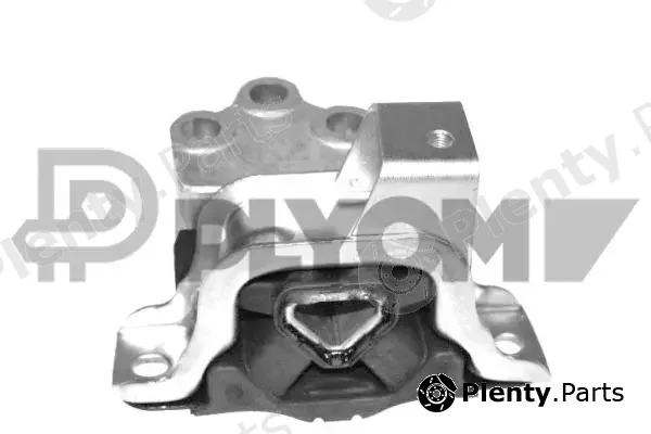 Plyom P756212 — Mounting, engine