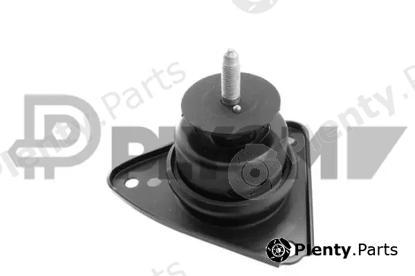 Plyom P769595 — Mounting, engine