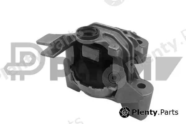 Plyom P011255 — Mounting, engine