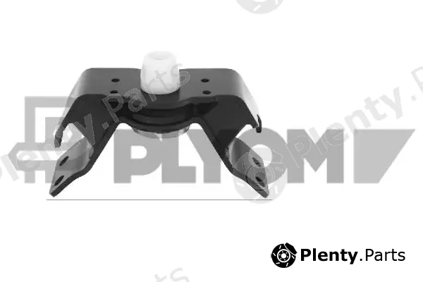 Plyom P771939 — Mounting, engine
