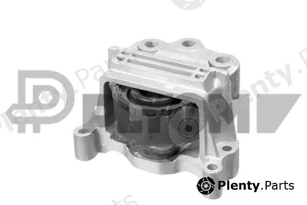 Plyom P769818 — Mounting, engine