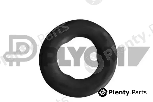 Plyom P750034 — Seal Ring, injector
