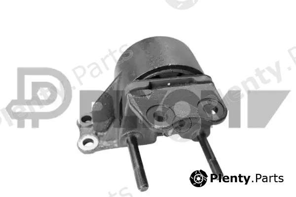 Plyom P769589 — Mounting, engine