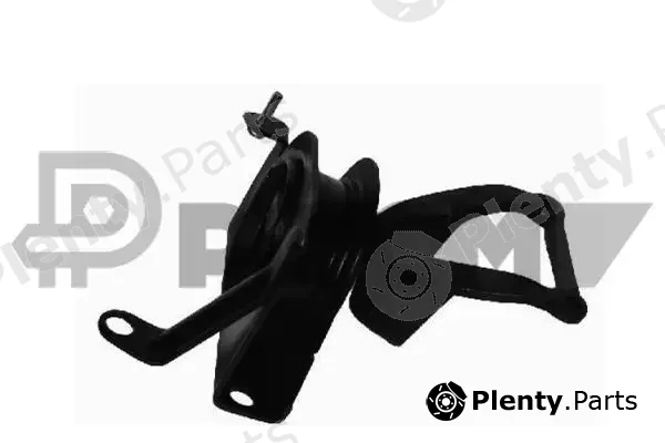 Plyom P011069 — Mounting, engine