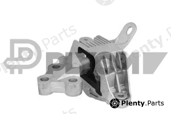 Plyom P756298 — Mounting, engine