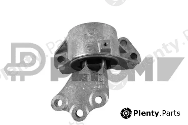 Plyom P759075 — Mounting, engine