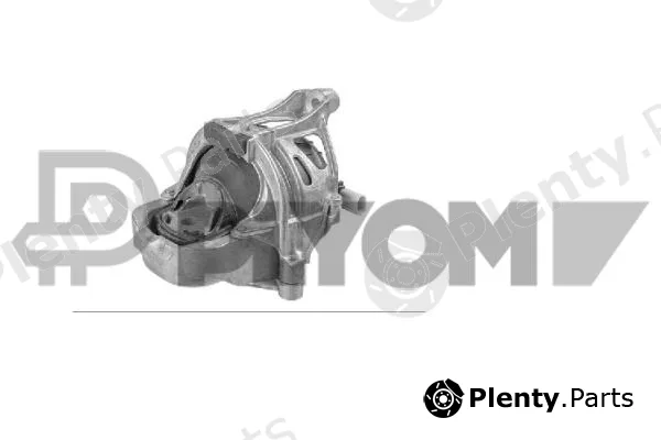 Plyom P775996 — Mounting, engine