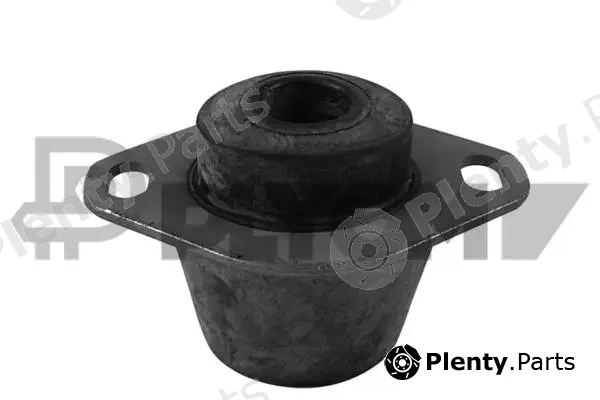 Plyom P759081 — Mounting, engine