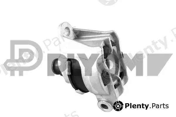 Plyom P756481 — Mounting, engine