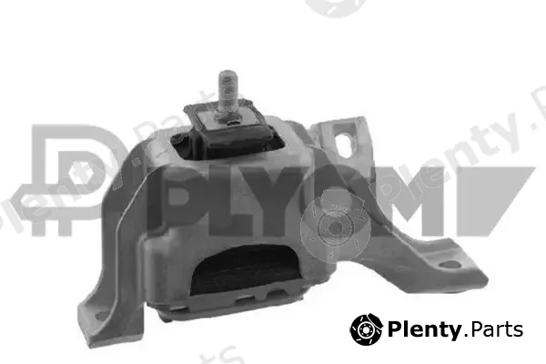 Plyom P756037 — Mounting, engine