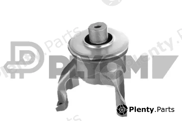 Plyom P770264 — Mounting, engine