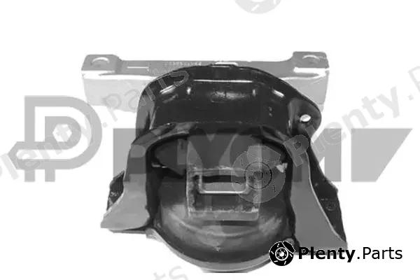 Plyom P756043 — Mounting, engine