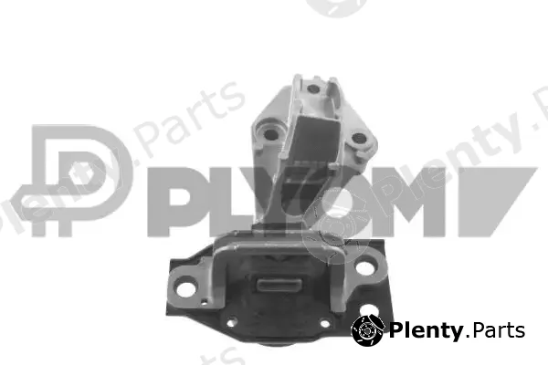 Plyom P756146 — Mounting, engine