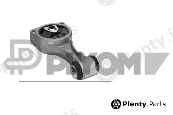 Plyom P021395 — Mounting, engine