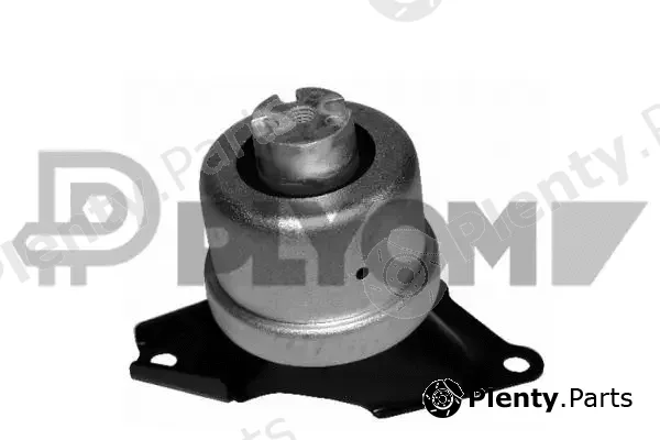 Plyom P461305 — Mounting, engine