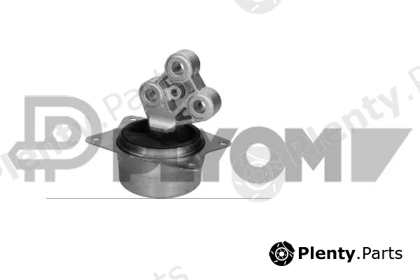 Plyom P775851 — Mounting, engine