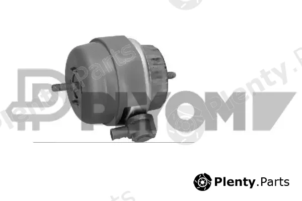 Plyom P756317 — Mounting, engine