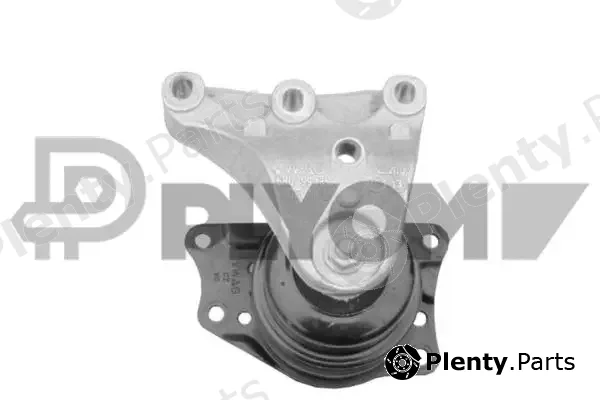 Plyom P769812 — Mounting, engine