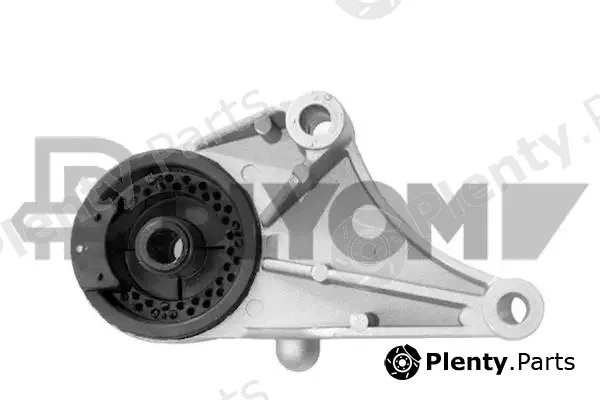 Plyom P756187 — Mounting, engine