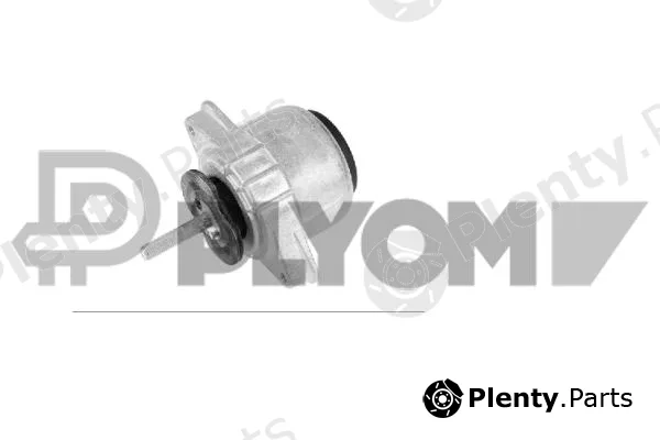 Plyom P776201 — Mounting, engine