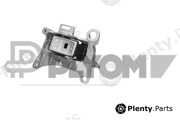 Plyom P756247 — Mounting, engine