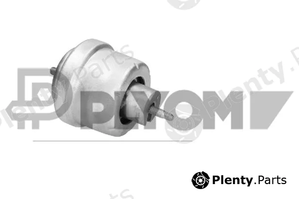 Plyom P480495 — Mounting, engine