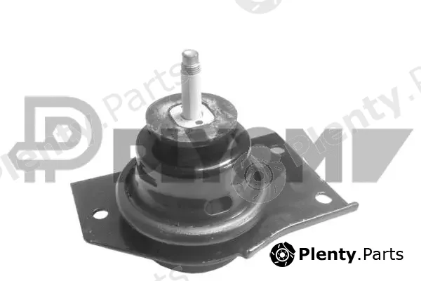 Plyom P769957 — Mounting, engine