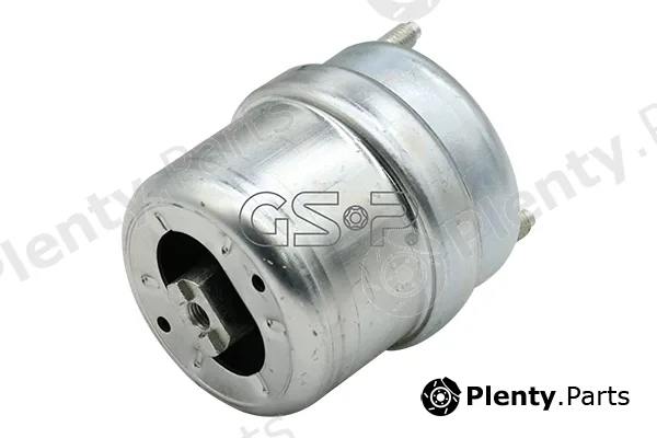 GSP-BR 510323 — Mounting, engine