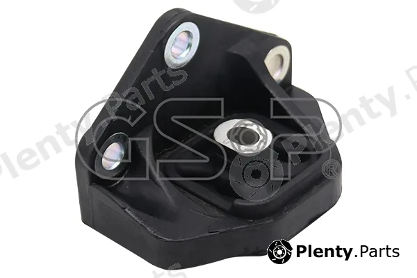 GSP-BR 517134 — Mounting, engine