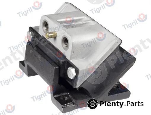 Tigril DB01.0008 — Mounting, engine