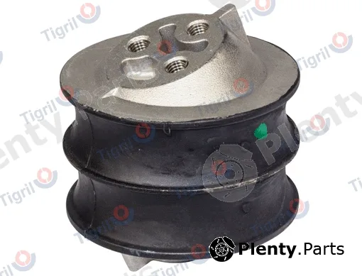 Tigril SC01.0011 — Mounting, engine