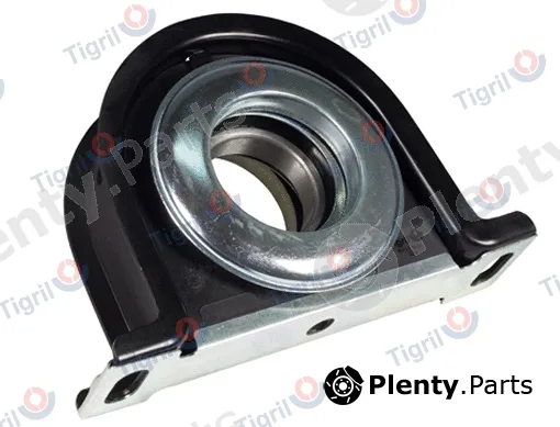 Tigril RV11.0001 — Suspension, propshaft